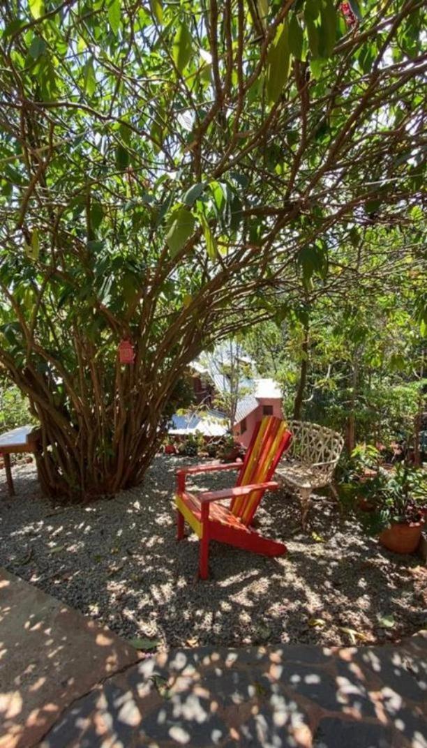 El Campo En Jarabacoa Βίλα Εξωτερικό φωτογραφία